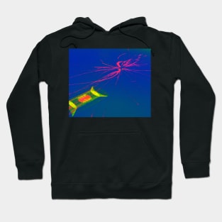 CERN Visitor Center. Particle Treks. Geneva, Switzerland Hoodie